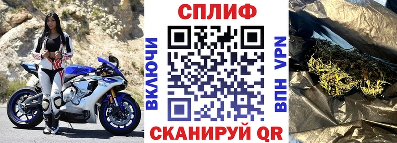 наркотики  Темрюк  OMG как войти  Конопля VHQ 